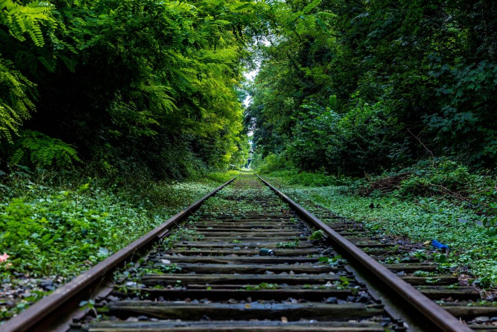 Train tracks in the woods